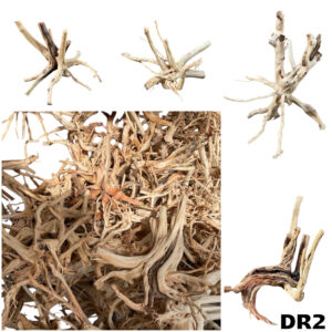 Driftwood For Aquariums